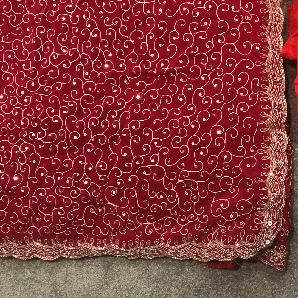 Red and Silver Indian Sari with underskirt top